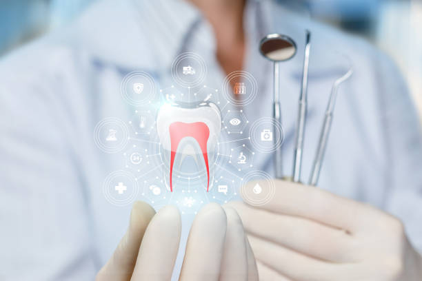 Best Pediatric Dentistry  in Pensacola Station, FL
